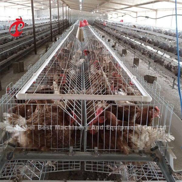 Quality Rearing Cage Poultry Farm Brooder Breeding Equipment Sandy for sale