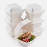 Buy cheap Single Cell Bagasse Lunch Box Disposable Bagasse Food Container 8 Inch from wholesalers