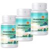 Buy cheap YOULEVHONG Ashwagandha Gummies Supplement - Gluten Free Non GMO Soy Free Vegan Organic Heart Health Dietary Supplement from wholesalers