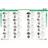 Buy cheap 12V,120A,Alternator Carter Generator 2253144,2253145,2526256,3469825,3832557,2871A304,2871A305,2871A310,11203175,AAK5384 from wholesalers