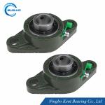 Cast Iron UCFL204 Bearing Sealed 20mm Bore Bearing ABEC 3 ABEC 5