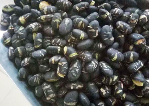 Buy cheap Salted Roasted Seeds And Nuts Black Soybean High Protein Low Fat Dry Snack from wholesalers