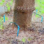 Plastic Greenhouse Drip Irrigation System 3/5mm Dimater for Precise Water