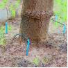 Buy cheap Farming Watering System For Potted Plants , Greenhouse Drip Irrigation System from wholesalers
