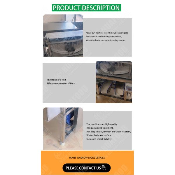 Seed Removing 84000pcs/H Date Olive Pitting Machine