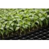 Buy cheap Plastic seedling trays in sydney seed starter tray For Pepper & Tomatoes seeding from wholesalers