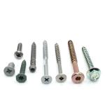 ISO9001 2015 Certified SS304 Stainless Steel Self Tapping Screws for Metric