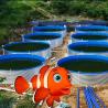 Buy cheap Waterproof HDPE LDPE LLDPE Liners for Fish Pond Swimming Pool Reservoir Dam Landfill from wholesalers