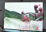 Outdoor LED Display Rental , P3.91 LED Display Outdoor Advertising High