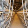 Buy cheap Large Capacity Farm Layer Chicken Cage Battery Power Hot Dipped Gavalnized Material from wholesalers