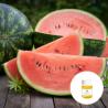 Buy cheap Aromatherapy Cold Press Organic Watermelon Seed Oil For SPA from wholesalers