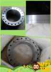 20'' SS304 flanges