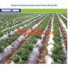 Buy cheap GARDEN GREENHOUSE AGRICULTURAL PLASTIC MULCH FILM, 100% PP/PE Woven Agriculture Ground Cover/Mulch Film/Weed Mat, FILM from wholesalers