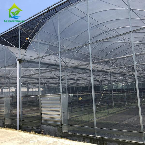 Buy cheap UV Resistant Plastic Sheeting Greenhouse 20-100m Length Mosquito Net Greenhouse from wholesalers