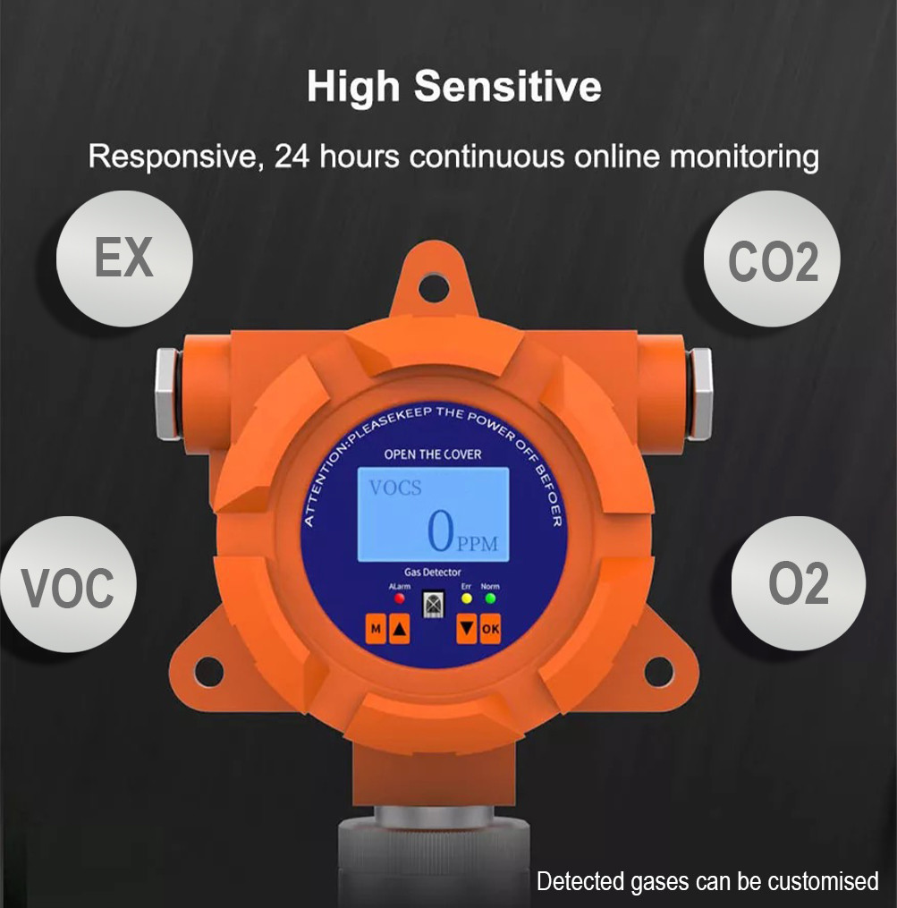 Online Gas Monitoring System Co Gas Leak Detector Oem Industrial Fixed