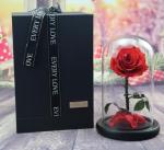 OEM Perfect Valentines Day Gifts Multiple Colours Preserved Everlasting Real