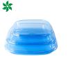 Buy cheap Takeaway Packaging Box Plastic For Good Food Square food container Plastic BLUE Disposable Sushi box from wholesalers