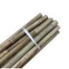 Buy cheap Nature Raw Bamboo Straight Bamboo Poles For Garden Farm Plant Support Building from wholesalers