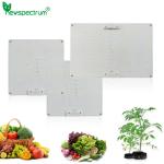 1500W Indoor Grow Light UV IR Full Spectrum Led Lights For Grow Tent