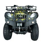 250cc ATV Battery Powered All Terrain Vehicle Hand Controlled 4x2 Off Road Snow