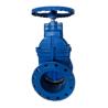 Buy cheap WRAS Approved Coating Ductile Iron 10 Inch Gate Valve For Pump from wholesalers