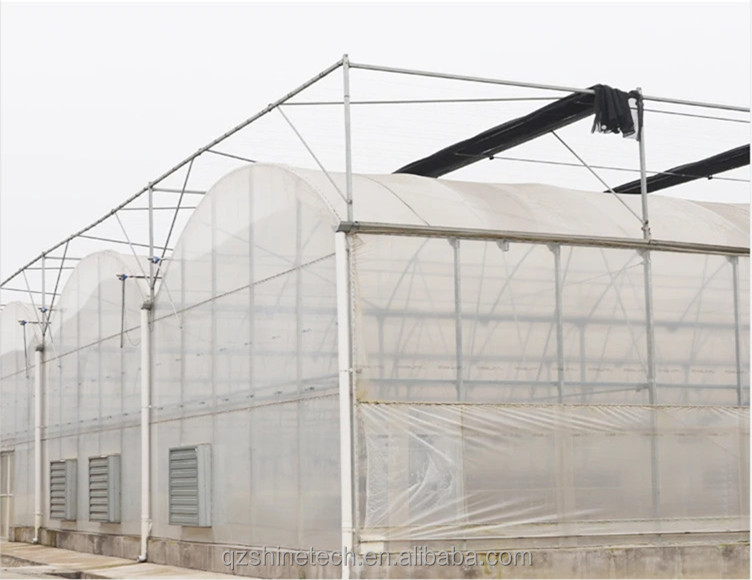 150/200 Micron Plastic Film Multi Span Greenhouse For Vegetable And Flower Growing