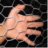 Buy cheap Galvanized Hexagonal Wire Netting from wholesalers
