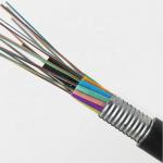 PE jacket Armored Duct Aerial Carble , 12 Core Fiber Optic Cable