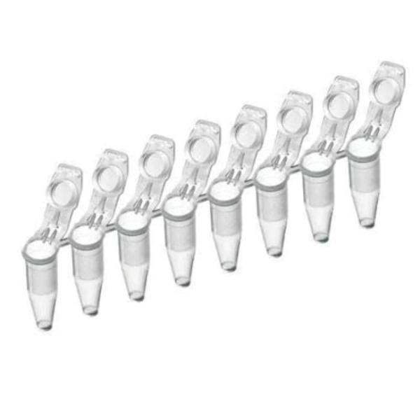 Buy cheap Lab PCR Accessories Plastic Disposable 8 Well PCR Tube Strips from wholesalers