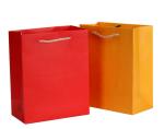 Non - Toxic Custom Printed Paper Bags Offset Printing For Promotion / Shopping