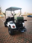 4 Wheel Electric Club Golf Cart 2024 Golf Factory Latest Design Brand New For