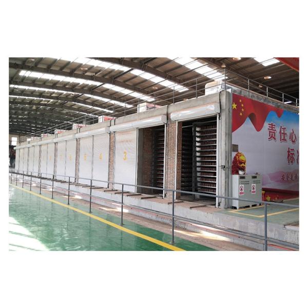 Brick Making Plant Thermal Equipment Intermittent Dryer Chamber Dryer Loading