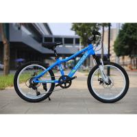 Buy cheap Foldable 20 Inch Mountain Bike For Kids Steel Fork And Outdoor Exploration product
