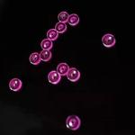 Buy cheap Customized CZ Ruby Bearing , Sapphire Bearing With Through Hole from wholesalers