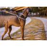 Buy cheap 0.9m 3 Foot Halloween Anti Pull Dog Leash Accessories Heavy Polyester Rope Totem from wholesalers