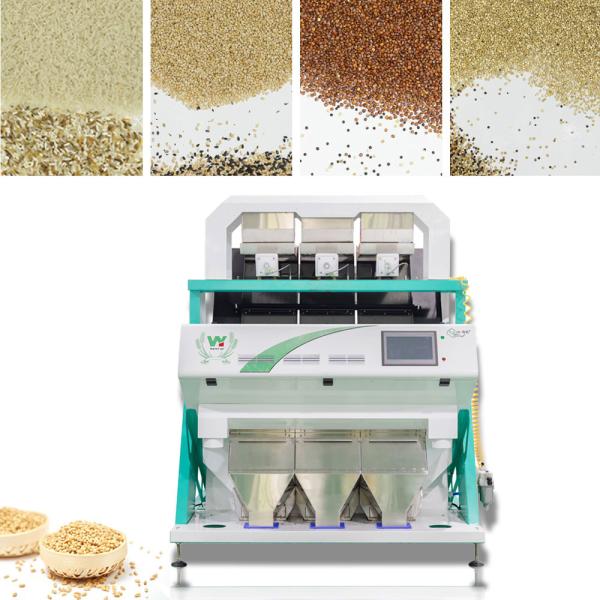 Buy cheap High Capacity Intelligent CCD Black Rice Color Sorter Machine Hot in India from wholesalers