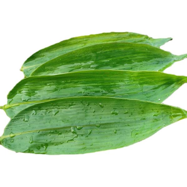 Buy cheap Japan Sushi Plates Decoration Green Fresh Dried Bamboo Leaves from wholesalers