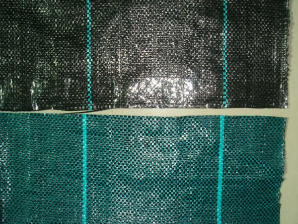 Buy cheap Hdpe Woven Ground Cover Fabric from wholesalers