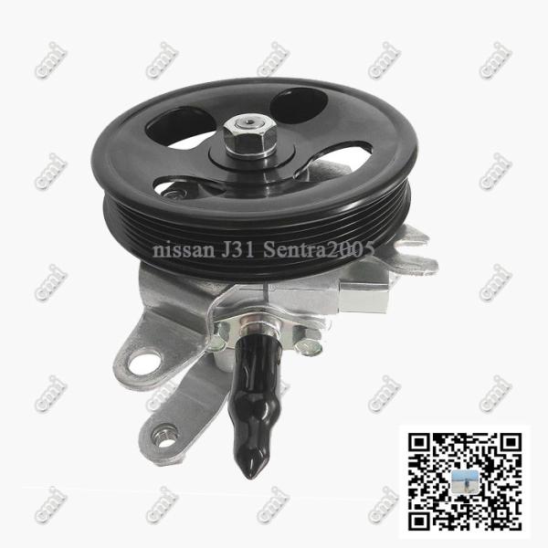 Buy cheap Aftermarket Toyota Power Steering Pump Nissan TEANA J31 Sentra 2005 49110-9W100 VQ23 from wholesalers