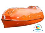 SOLAS Totally Enclosed Rescue Boats