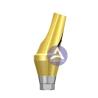 Buy cheap Osstem GS(TS)® Dental Implant Titanium Angled Abutment Mini / Regular -- 17°/30° Degree from wholesalers