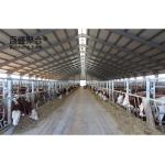 ISO9001 2008/CE/BV Certified Prefabricated Steel Beams H Beams Livestock Shed
