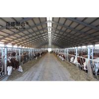 Buy cheap Direct Supply Steel Structure Livestock Shed for Cow in Prefabricated Design product