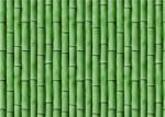Bamboo Embossed Peelable Durable Velvet Flock Wallpaper Green / Yellow