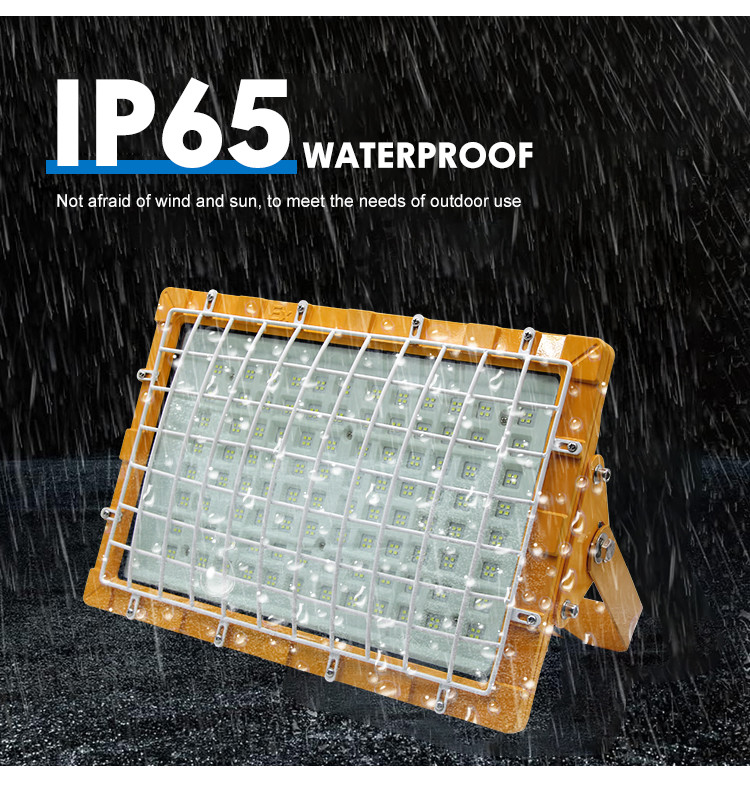Customized LED Explosion Proof Lighting High Purity Aluminum Heat Dissipation