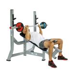 Befreeman High Quality Gym Equipment Wholesale Hot Sale Incline Bench Pin Load