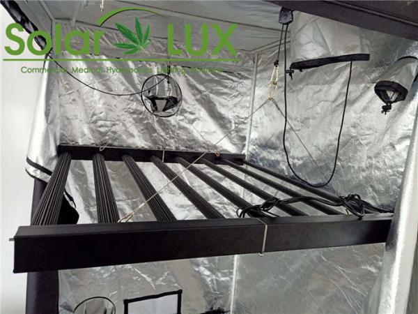 Buy cheap Aluminum RJ12 RJ11 RJ45 Horticulture Led Grow Lights from wholesalers