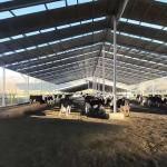 Agricultural-Grade Goat Farming House Prefabricated Horse Barn Galvanized Steel