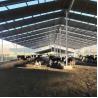 Buy cheap Agricultural-Grade Goat Farming House Prefabricated Horse Barn Galvanized Steel Structure Prefabricated Steel Building from wholesalers