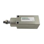 ASCO NAA032/0030(S) 32 mm Bore 30 mm Stroke 32*30 Special Cylinder